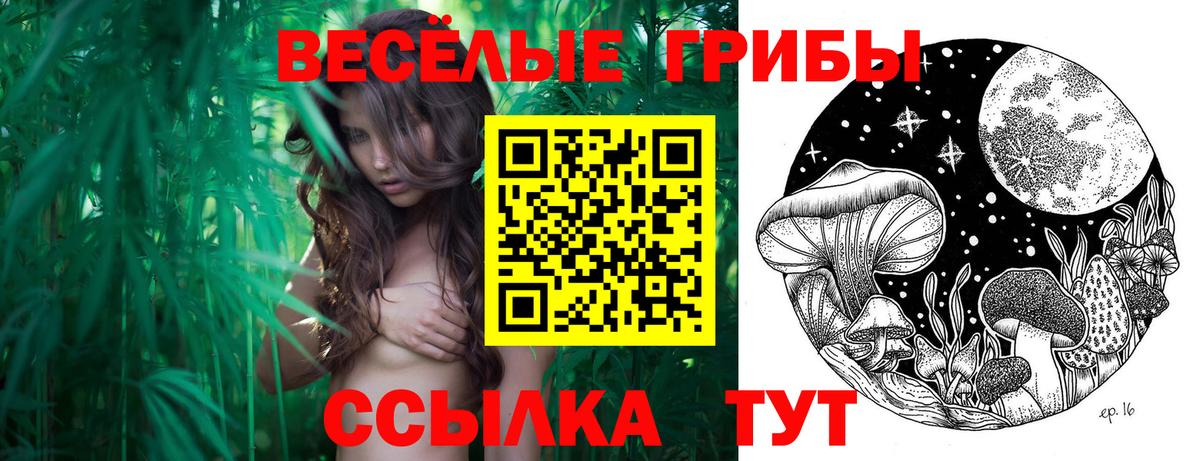 Новошахтинск  Галлюциногенные грибы Magic Shrooms  Вход с VPN 